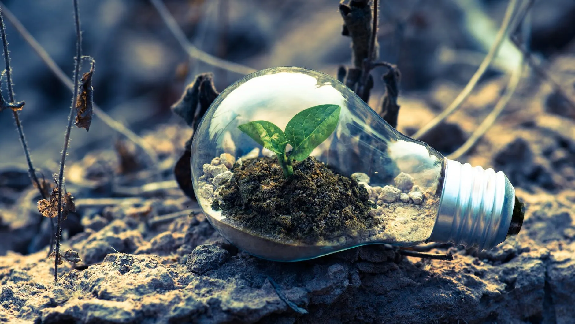 Environmental Control Technology